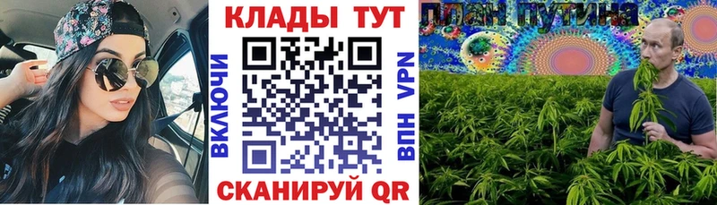 Купить закладку Гашиш  A-PVP  Меф  Галлюциногенные грибы  Каннабис  Мичуринск