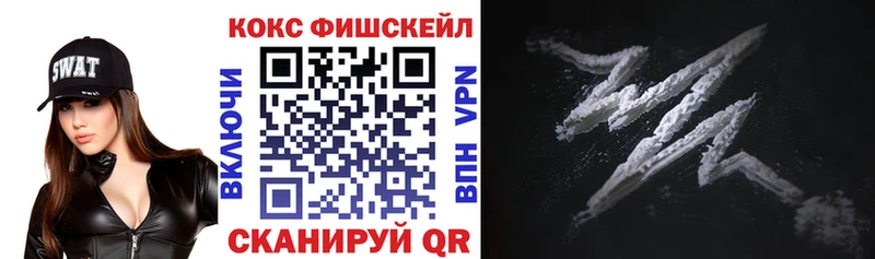 Купить  Мичуринск  Cocaine FishScale 