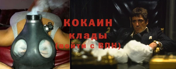 шишки Горно-Алтайск