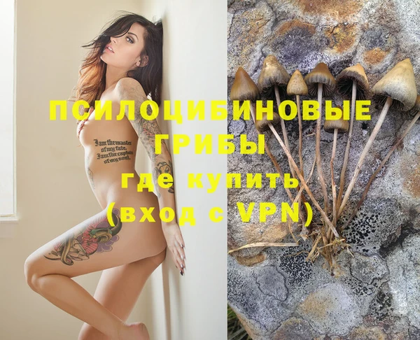 гидропоника Дмитров