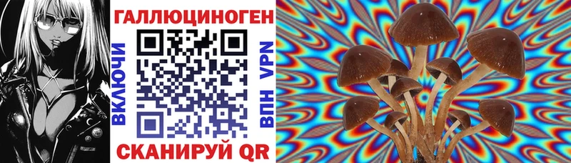 Купить где  Мичуринск  Псилоцибиновые грибы Psilocybe 